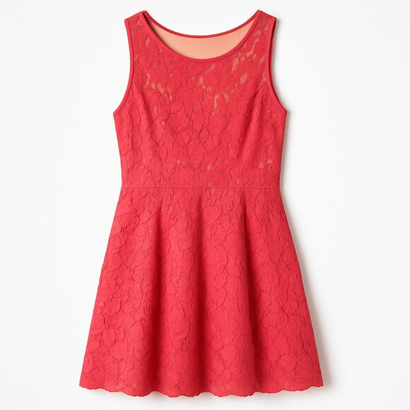 The Limited Dresses & Skirts - The Limited Coral Lace Fit & Flare Dress | Size 0P | Elegant Cocktail Style